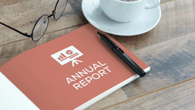 Annual report adalah